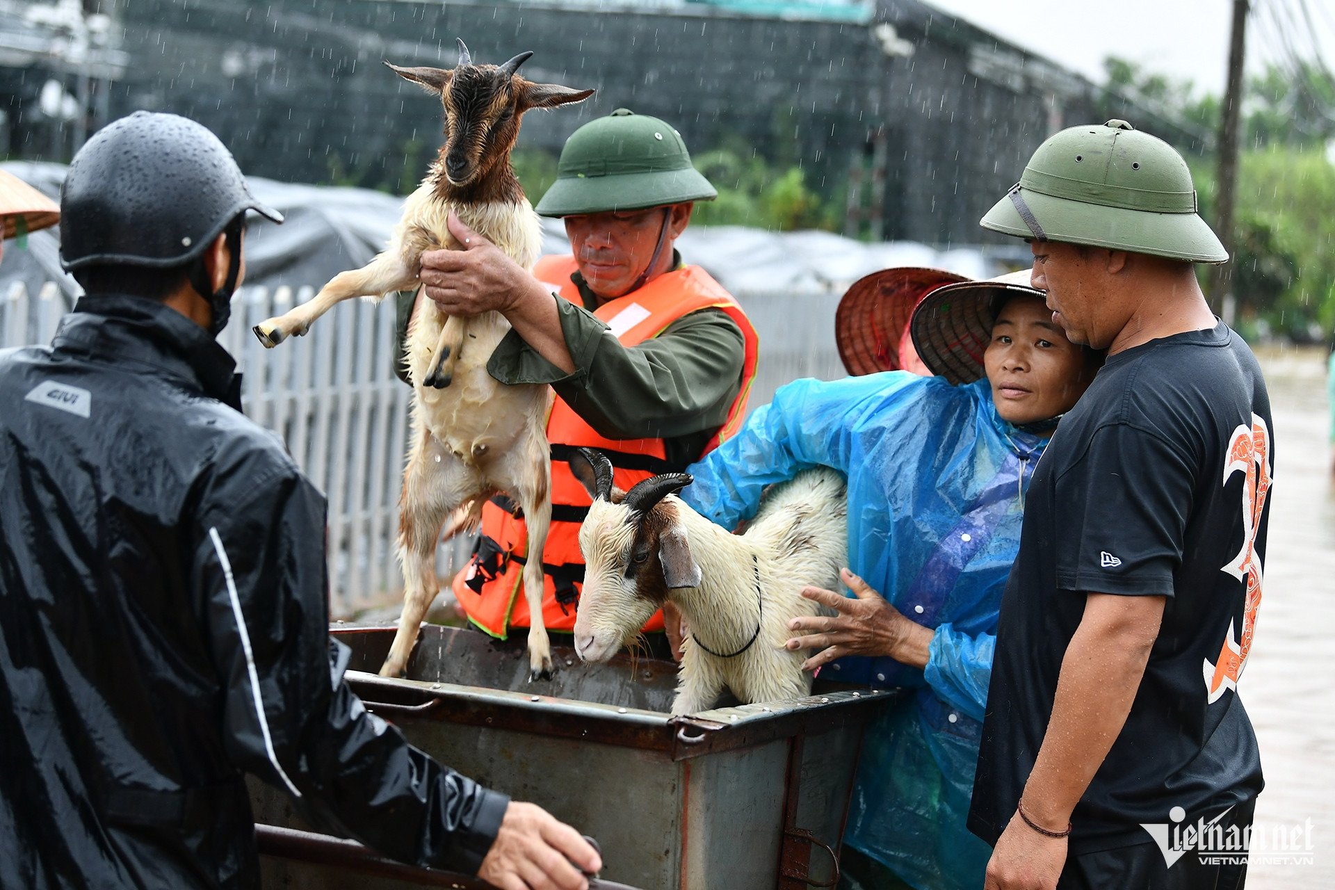 Hà Nội khẩn cấp đối phó với mực nước sông Hồng dâng cao, người dân ngoài đê di dời khẩn cấp