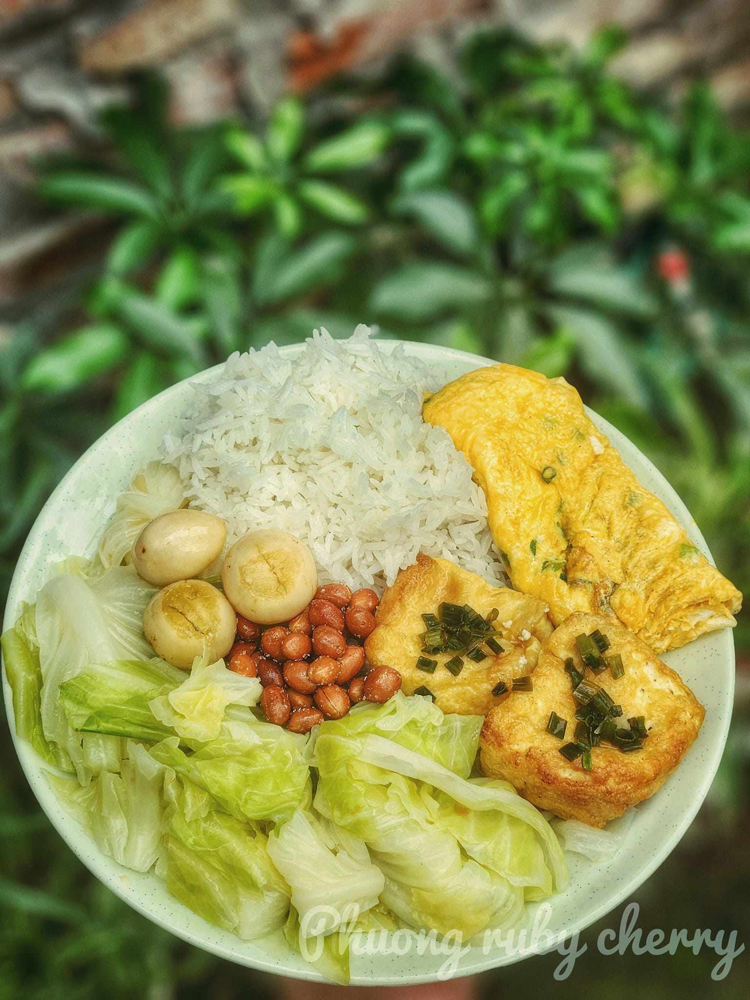 Rau cải hấp, trứng rán, đậu tẩm hành, cơm trắng