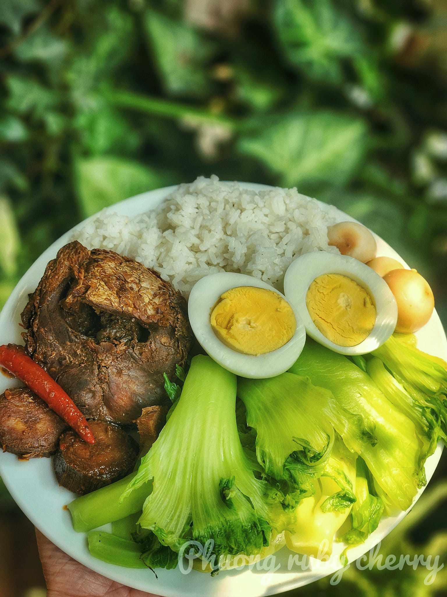 Cá kho, trứng luộc, rau cải hấp, cơm trắng