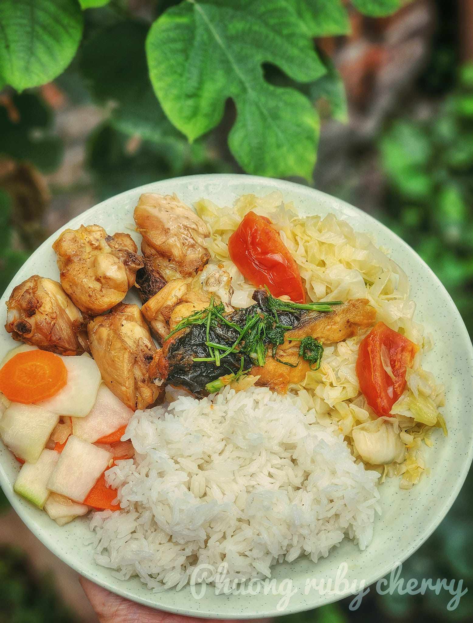 Cơm trắng, thịt gà rang, rau cải xào, nộm su hào, cà rốt