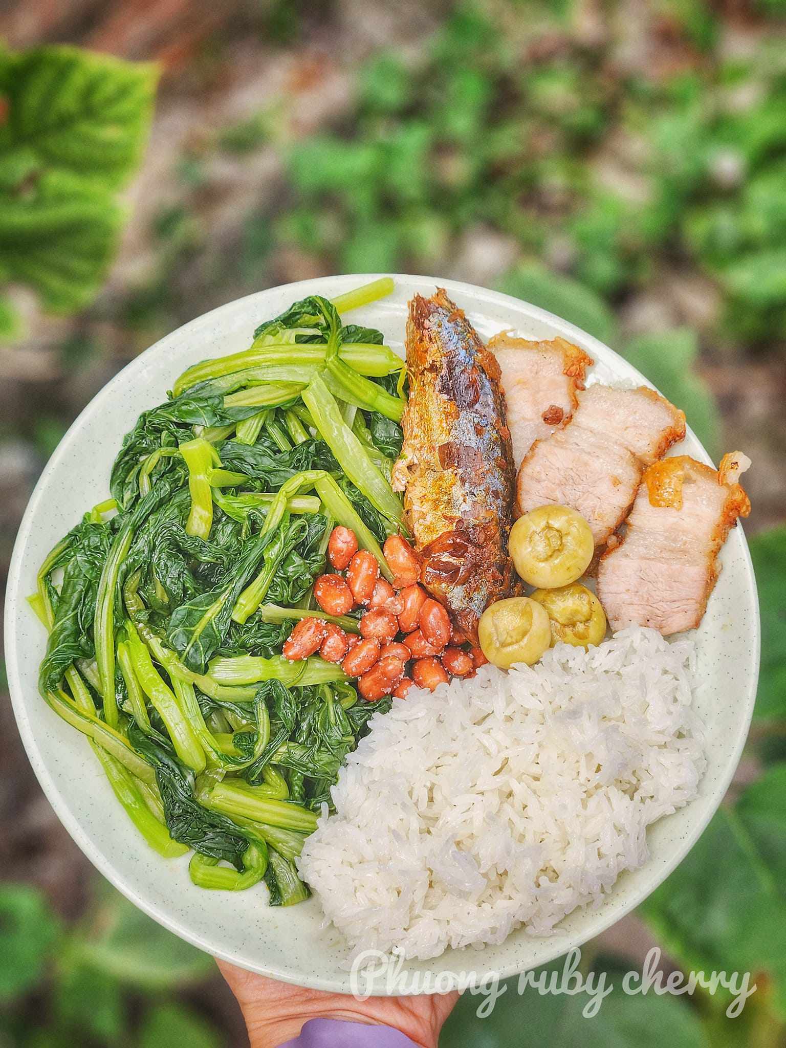 Cá nục kho, cơm trắng, thịt lợn nướng, rau cải luộc