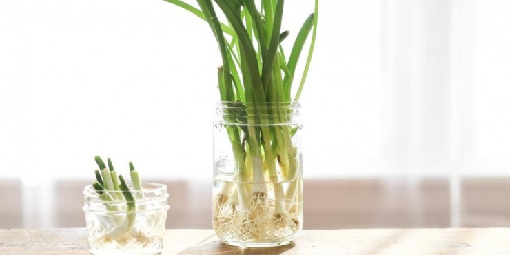 Tích trữ đồ ăn trong mùa bão lũ cần đặc biệt lưu ý những điều này kẻo sinh bệnh tật - 9