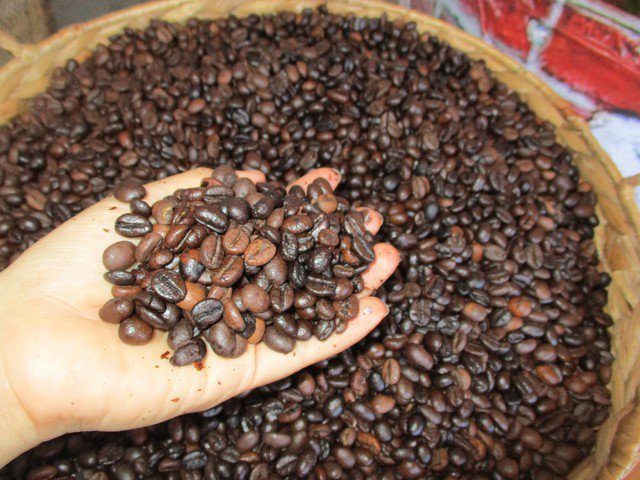 Giá cà phê Robusta vượt mốc 5.000 USD/tấn