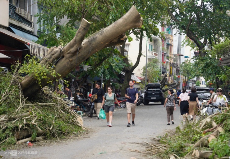 Hà Nội ngổn ngang cây gãy đổ hậu bão Yagi, hàng chục ngàn cây chờ giải quyết