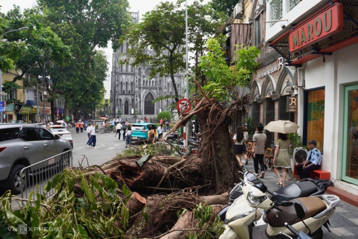 Hà Nội ngổn ngang cây gãy đổ hậu bão Yagi, hàng chục ngàn cây chờ giải quyết