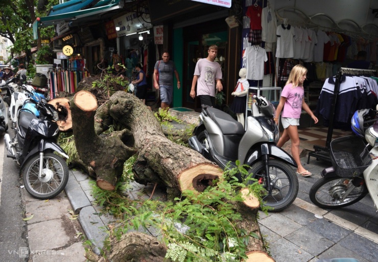 Hà Nội ngổn ngang cây gãy đổ hậu bão Yagi, hàng chục ngàn cây chờ giải quyết