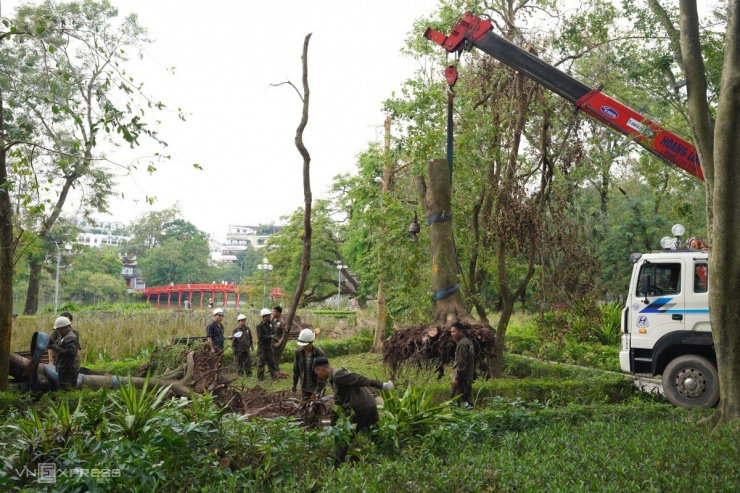 Hà Nội ngổn ngang cây gãy đổ hậu bão Yagi, hàng chục ngàn cây chờ giải quyết