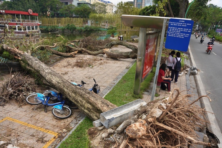 Hà Nội ngổn ngang cây gãy đổ hậu bão Yagi, hàng chục ngàn cây chờ giải quyết