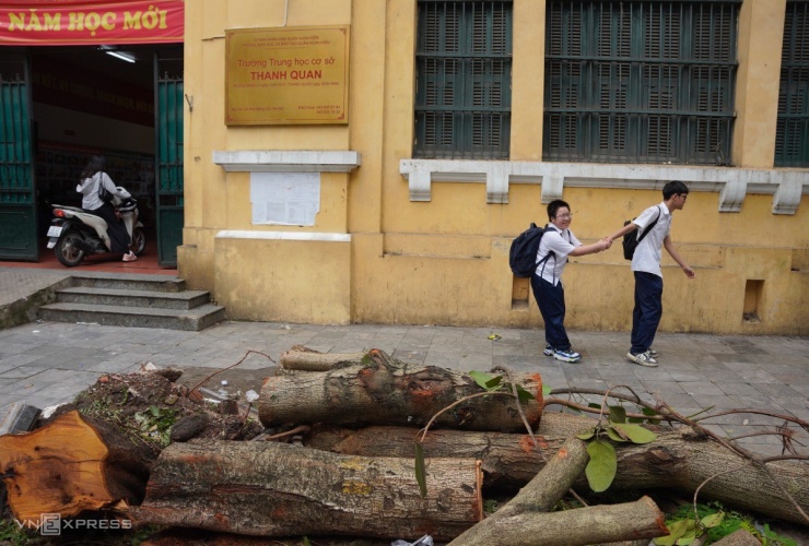 Hà Nội ngổn ngang cây gãy đổ hậu bão Yagi, hàng chục ngàn cây chờ giải quyết