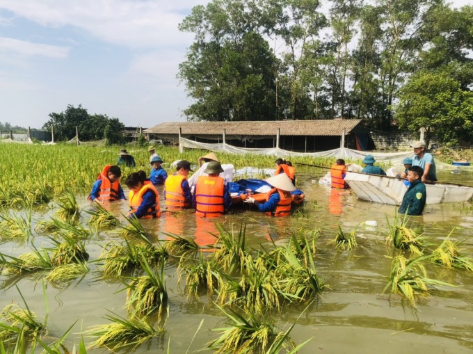 Lũ rút chậm, vùng trũng ven sông tiếp tục ngập kéo dài