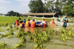 Tin tức trong ngày - Nhiều nơi còn ngập 9-11 ngày