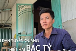 Thị trường - Tiêu dùng - Chủ vườn ở Tuyên Quang lo bạc tỷ 'trôi' theo dòng nước lũ