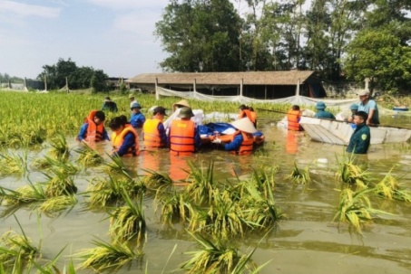 Lũ rút chậm, vùng trũng ven sông tiếp tục ngập kéo dài