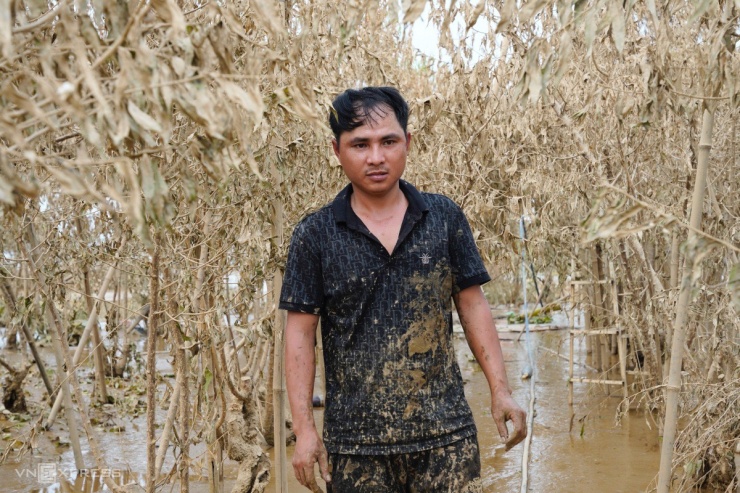 Làng Đào Nhật Tân Bao Trùm Trong Tang Tóc Sau Lũ Lụt Nghiệt Ngã