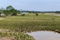 Thị trường - Tiêu dùng - Vựa rau Yên Bái tan hoang sau lũ: 'Nhà không còn gì nữa'