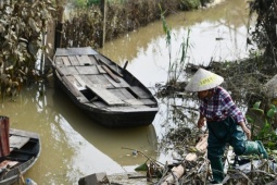 Tin tức trong ngày - Bãi giữa sông Hồng sau những ngày bị nước lũ nuốt chửng