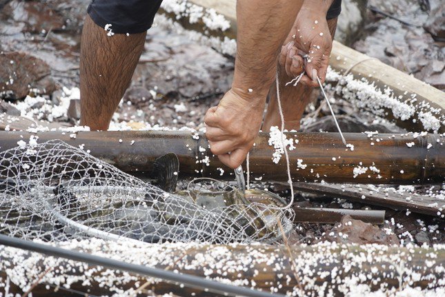 Bão YAGI đã gây thiệt hại nặng nề cho Quảng Ninh, nhất là những hộ nuôi lồng bè trên biển. Người ít thì cũng vài trăm triệu, người nhiều thì hàng tỷ, thậm chí hàng chục tỷ đồng bị cuốn trôi theo.