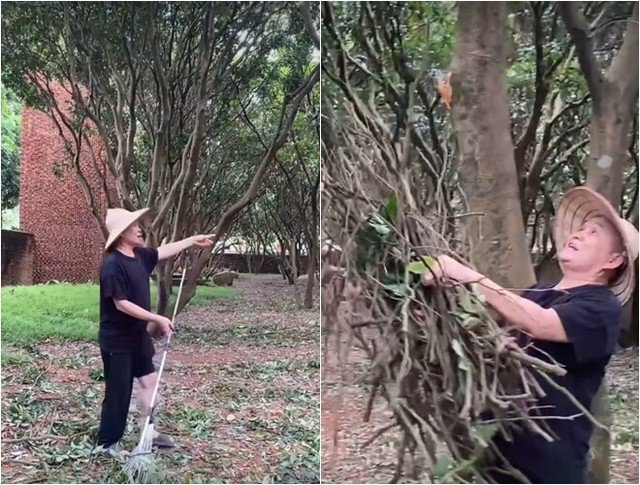 Video "Xuân Hinh dọn vườn" được ông đăng tải trên mạng xã hội TikTok sau đó, thu hút hơn 4 triệu lượt xem bởi cách nói, hành động duyên dáng. "Bác nói chuyện mà cháu vẫn nghĩ bác đang diễn hài", "Chú cứ phải quần ống thấp ống cao thế chú", "Tết nào cũng xem lại hài của bác rồi cười toe toét"... khán giả bình luận sôi nổi dưới video.