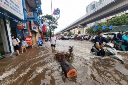 Tin tức trong ngày - Nhiều tuyến phố Hà Nội ngập sâu sau trận mưa lớn sáng nay