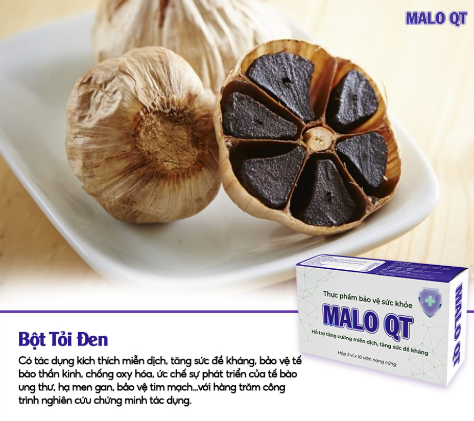 Giải pháp hỗ trợ tăng cường sức đề kháng và nâng cao sức khỏe toàn diện từ MALO QT - 2