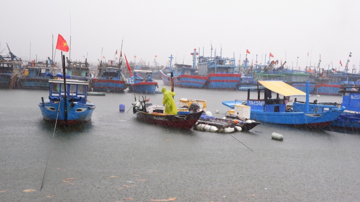 Ngư dân Đà Nẵng tất bật chạy bão số 4, chằng kéo tàu thuyền vào nơi an toàn