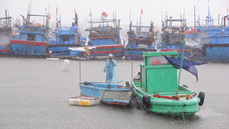 Ngư dân Đà Nẵng tất bật chạy bão số 4, chằng kéo tàu thuyền vào nơi an toàn