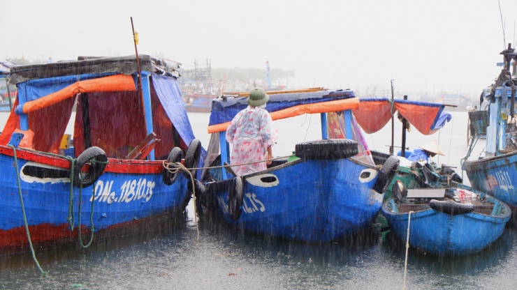 Ngư dân Đà Nẵng tất bật chạy bão số 4, chằng kéo tàu thuyền vào nơi an toàn