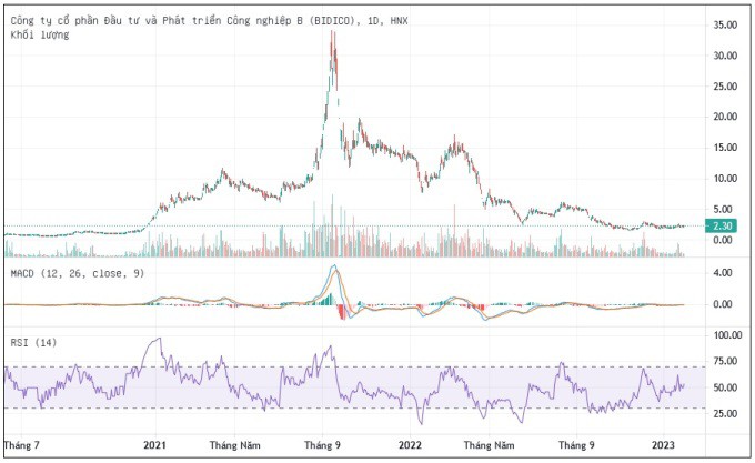 Cổ phiếu BII bị làm giá tăng hơn hơn 30 lần khi lập đỉnh ngày 18/9/2022 với giá 33.800 đồng/cổ phiếu. Nguồn: Tradingview