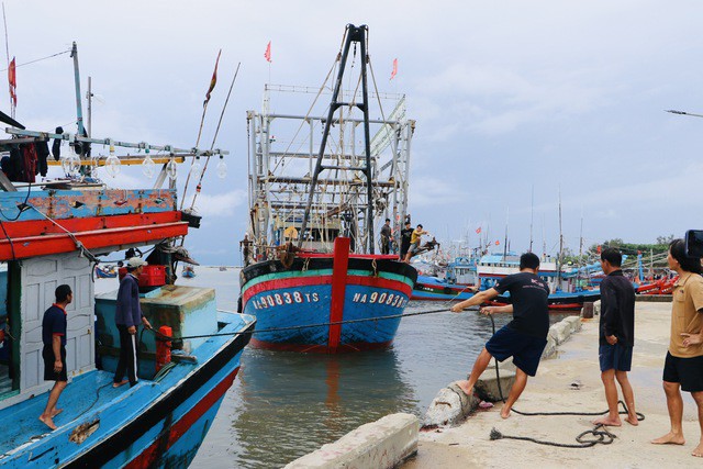 Tình hình mưa lớn, áp thấp nhiệt đới và lũ lụt tại Quảng Nam và Quảng Ngãi: Cập nhật mới nhất