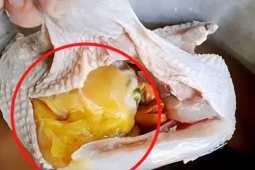 Ẩm thực - Bộ phận của con gà giàu dưỡng chất nhưng hay bị bỏ đi