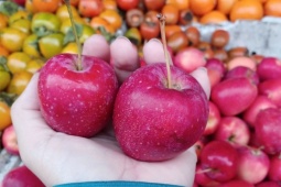 Táo cherry Trung Quốc 'gắn mác' Hàn Quốc, Australia