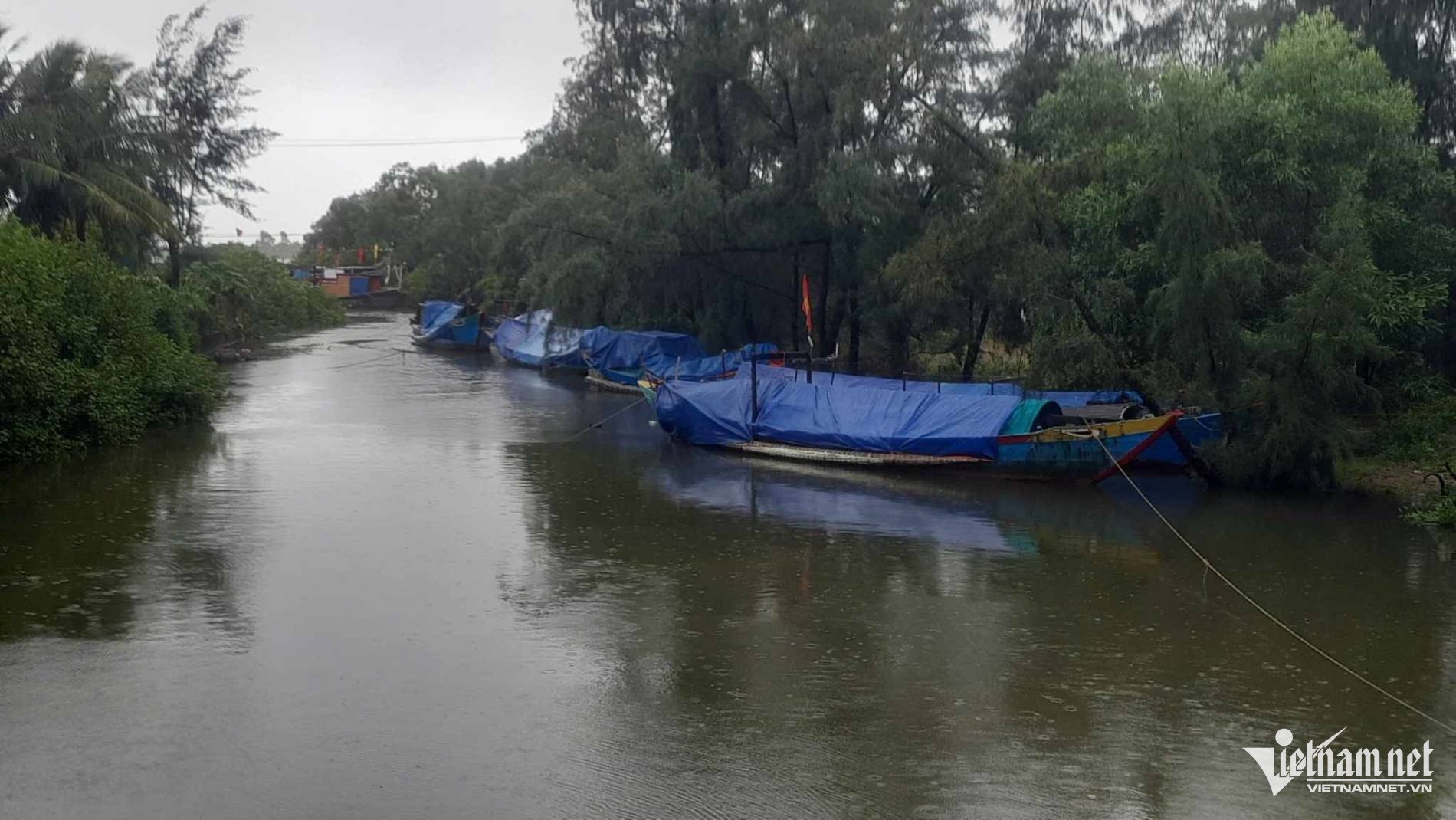 Tàu thuyền neo đậu tránh trú bão