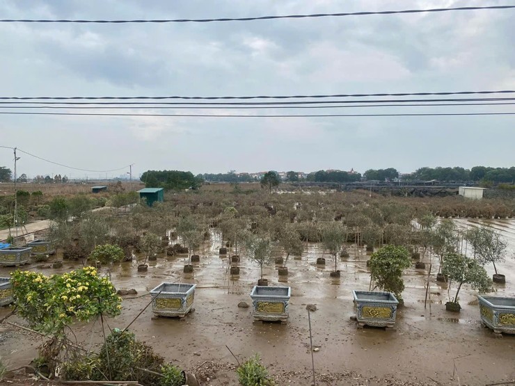 Anh cho biết tính tổng thiệt hại lên đến gần 2 tỷ đồng.