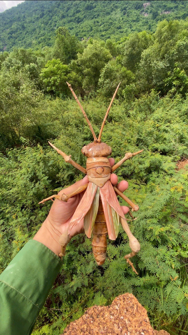 'Chú Cuội' Tây Ninh biến tre, trúc thành đồ trang trí đẹp, chân thực đến khó tin - 4