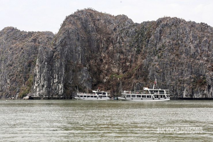 Vịnh Hạ Long hoang tàn sau bão, mất đi màu xanh tươi đẹp