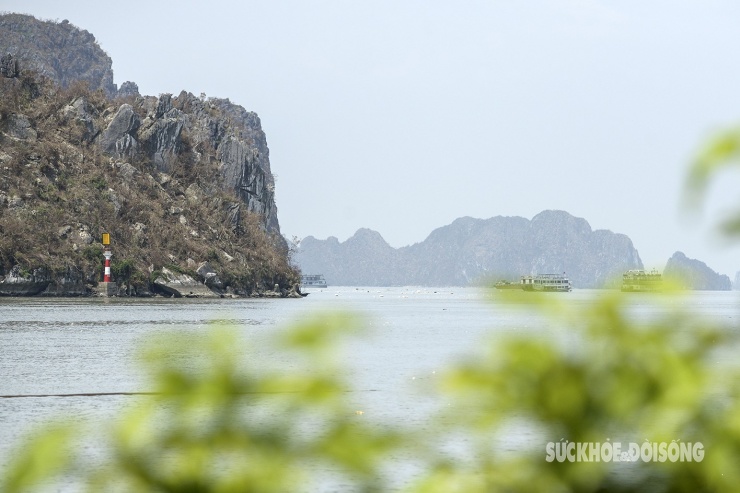 Vịnh Hạ Long hoang tàn sau bão, mất đi màu xanh tươi đẹp