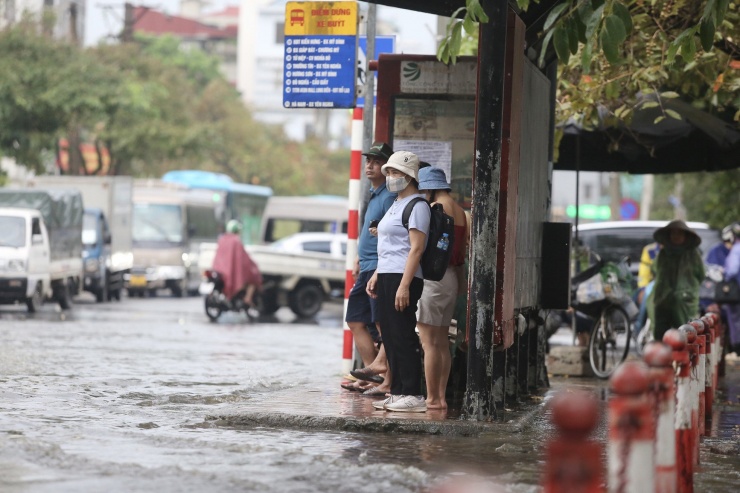 Điểm chờ xe buýt cô lập giữa biển nước.