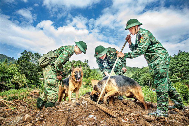 Chú chó nghiệp vụ Vát: Từ trận động đất Thổ Nhĩ Kỳ đến lũ quét Làng Nủ