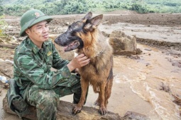 Tin tức trong ngày - Vào Làng Nủ, gặp chú chó từng đi cứu hộ quốc tế