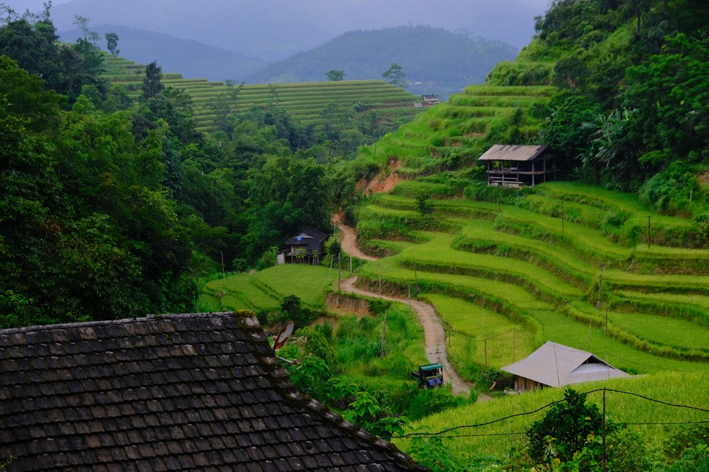 Đến Hoàng Su Phì, mỗi người sẽ tìm thấy sự bình yên, được gắn kết mình với thiên nhiên hoang sơ.