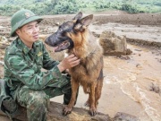 Tin tức trong ngày - Vào Làng Nủ, gặp chú chó từng đi cứu hộ quốc tế