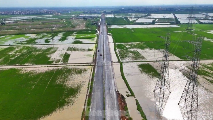 Phần lớn dự án chạy trên những cánh đồng lúa xanh ngát.