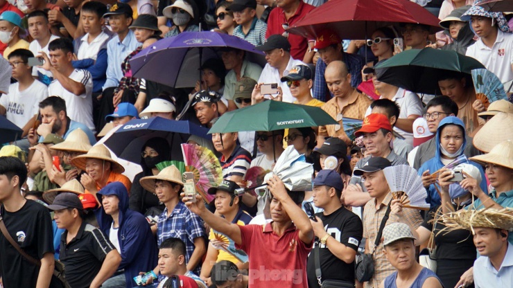 Theo quy định, Lễ hội chọi trâu Đồ Sơn không bán vé mà phát hành hơn 17.600 giấy mời, trong đó 9.000 giấy mời dành cho các đơn vị, đối tác. Số còn lại được phân bổ cho các phường, chủ trâu và tặng các đại biểu, khách mời.