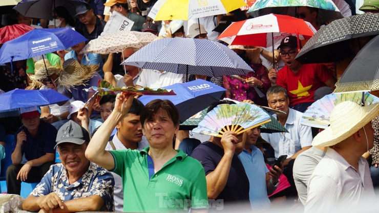 Không chỉ các khán giả nam, rất nhiều phụ nữ rất hào hứng tới cổ vũ, xem trâu chọi.