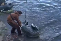Clip: Nam thanh niên câu được con cá trê khổng lồ trên sông