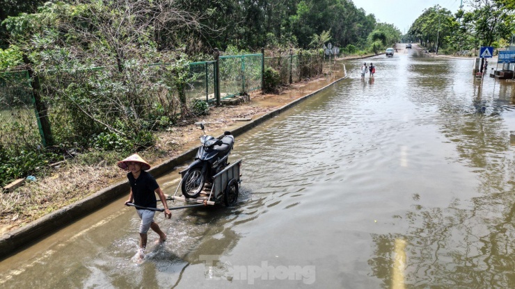 Đường gom Đại lộ Thăng Long ngập nặng sau bão, người dân phải thuê xe bò qua lại