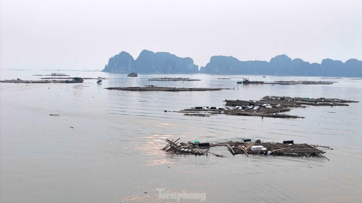 Rác thải từ lồng bè nuôi biển đe dọa vịnh Hạ Long sau bão Yagi