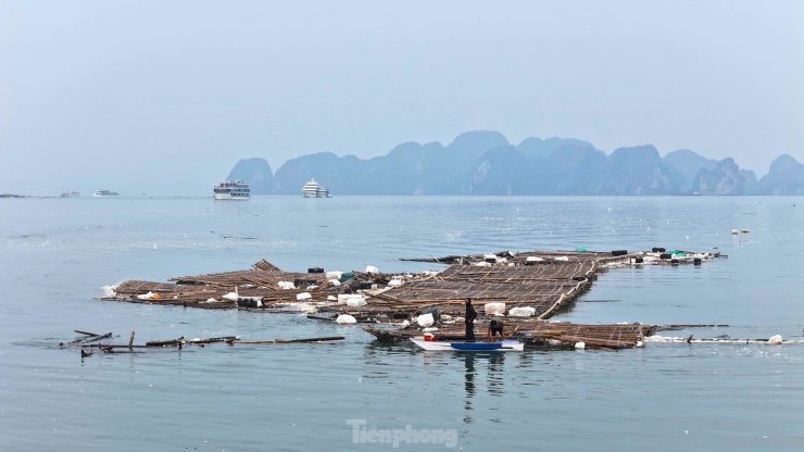 Rác thải từ lồng bè nuôi biển đe dọa vịnh Hạ Long sau bão Yagi