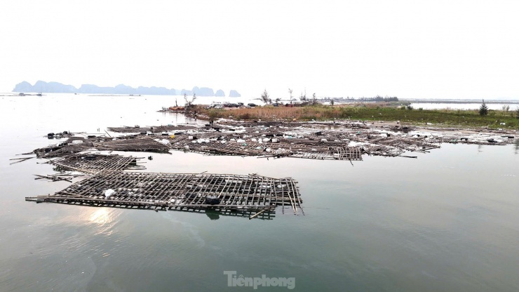 Thiệt hại của người nuôi biển là quá lớn nhưng những bè mảng đầy rác này sẽ gây thiệt hại vô cùng lớn cho vịnh Hạ Long nếu không có phương án xử lý kịp thời.