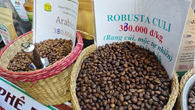Cà phê Robusta Việt Nam ngày càng có giá